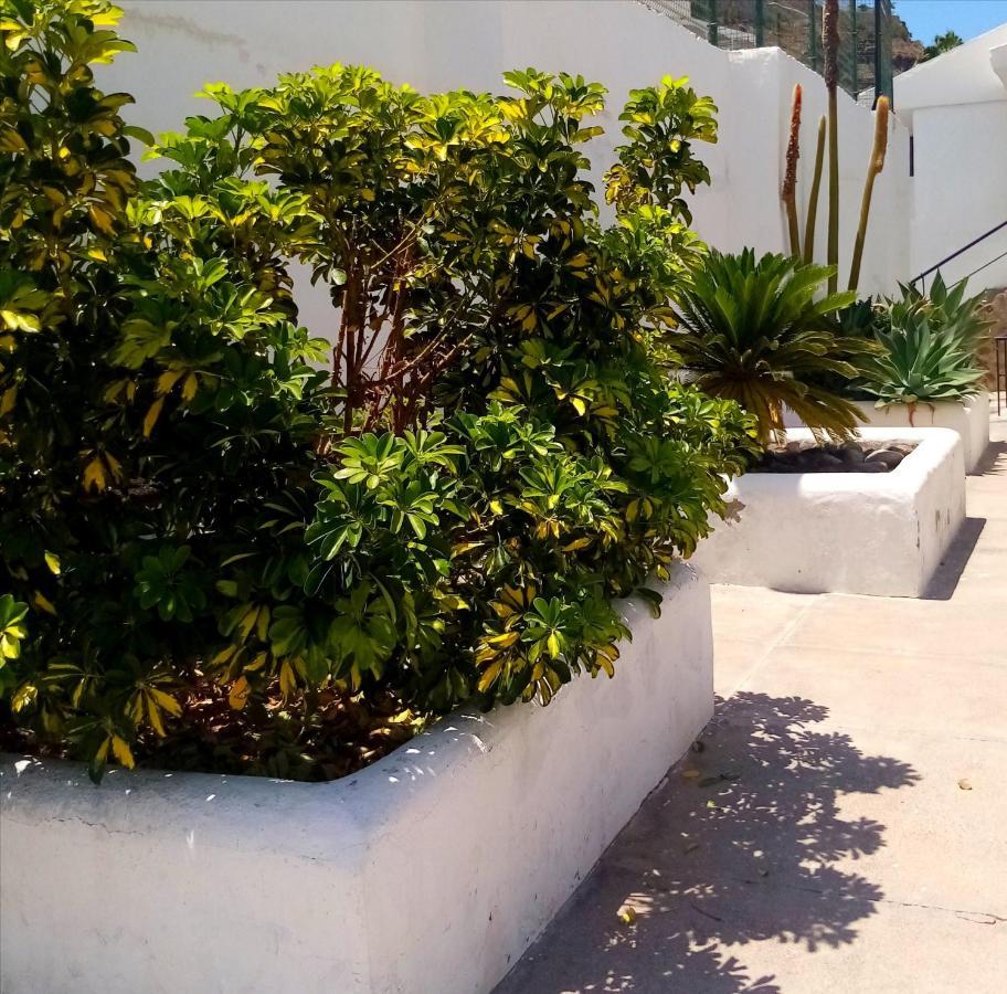Most Sunny Days On Gran Canaria Puerto Rico  Exterior foto